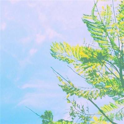 封仙纪元破解版下载